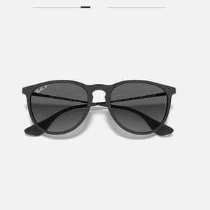 Ray-Ban Polarized Erika sunglasses